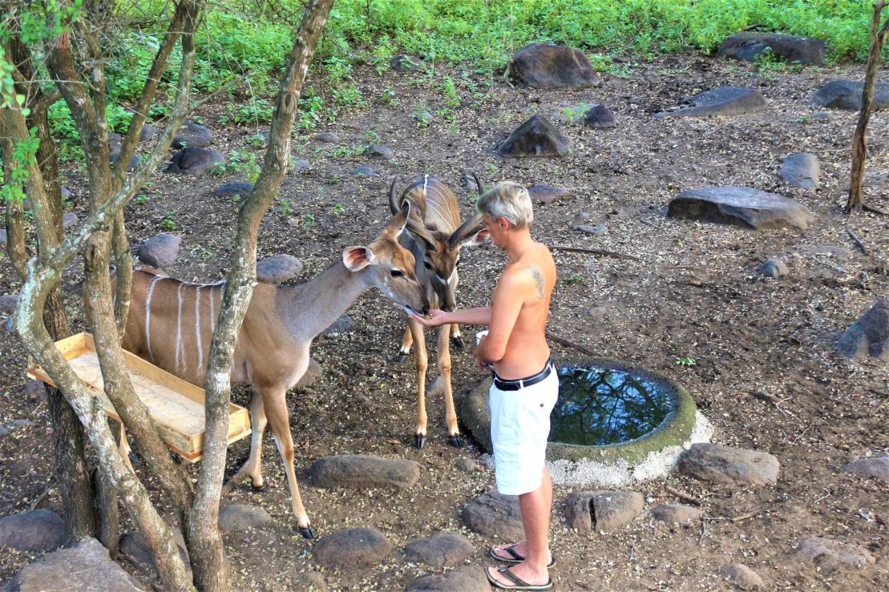 マールロス・パークKruger Kumba - Lahlekile Nathiアパートメント エクステリア 写真