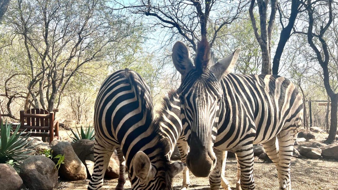 マールロス・パークKruger Kumba - Lahlekile Nathiアパートメント エクステリア 写真