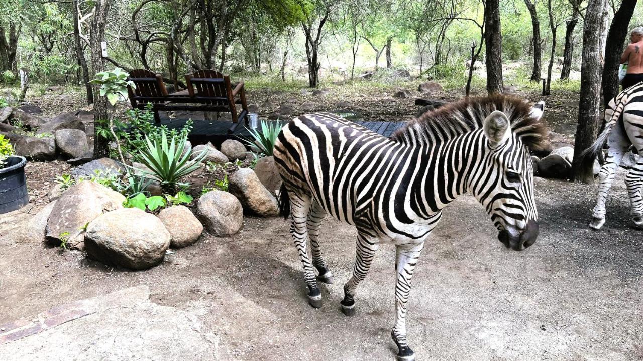 マールロス・パークKruger Kumba - Lahlekile Nathiアパートメント エクステリア 写真